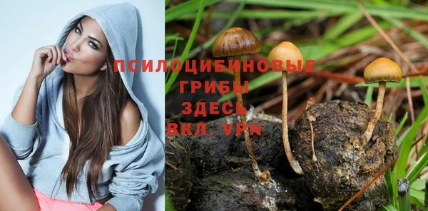 мдпв Видное