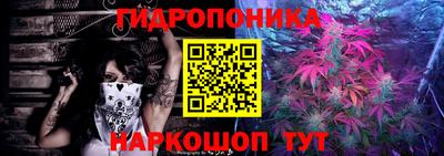 дживик Волжск
