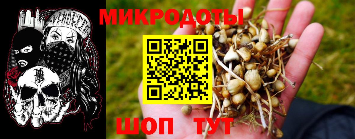 Псилоцибиновые грибы GOLDEN TEACHER Лесозаводск